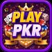 PlayPKR Game Logo